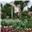 Dawlish Lawn